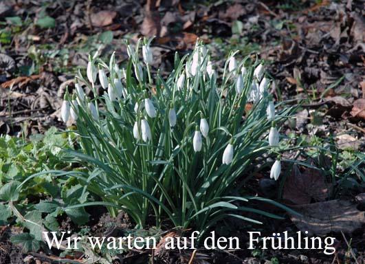 Konigszinne Bodenwerder Exteriör bild